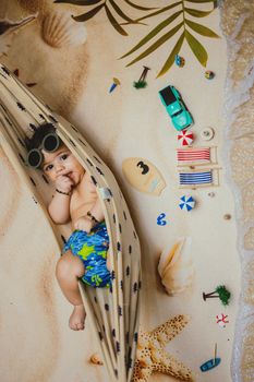 starfish photo