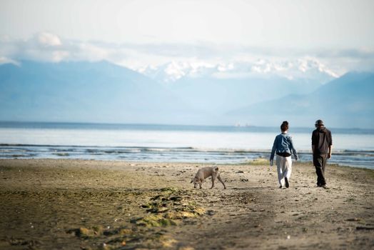 vancouver mountain dog hiking