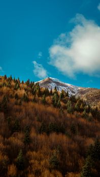 Snow-capped mountain in a serene landscape with vibrant autumn foliage under a clear blue sky.