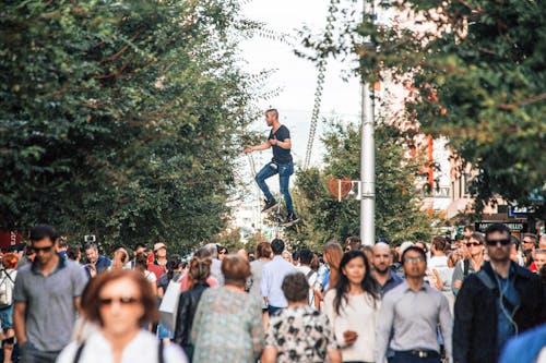 Kostenloses Stock Foto zu aufführung, balance, bäume