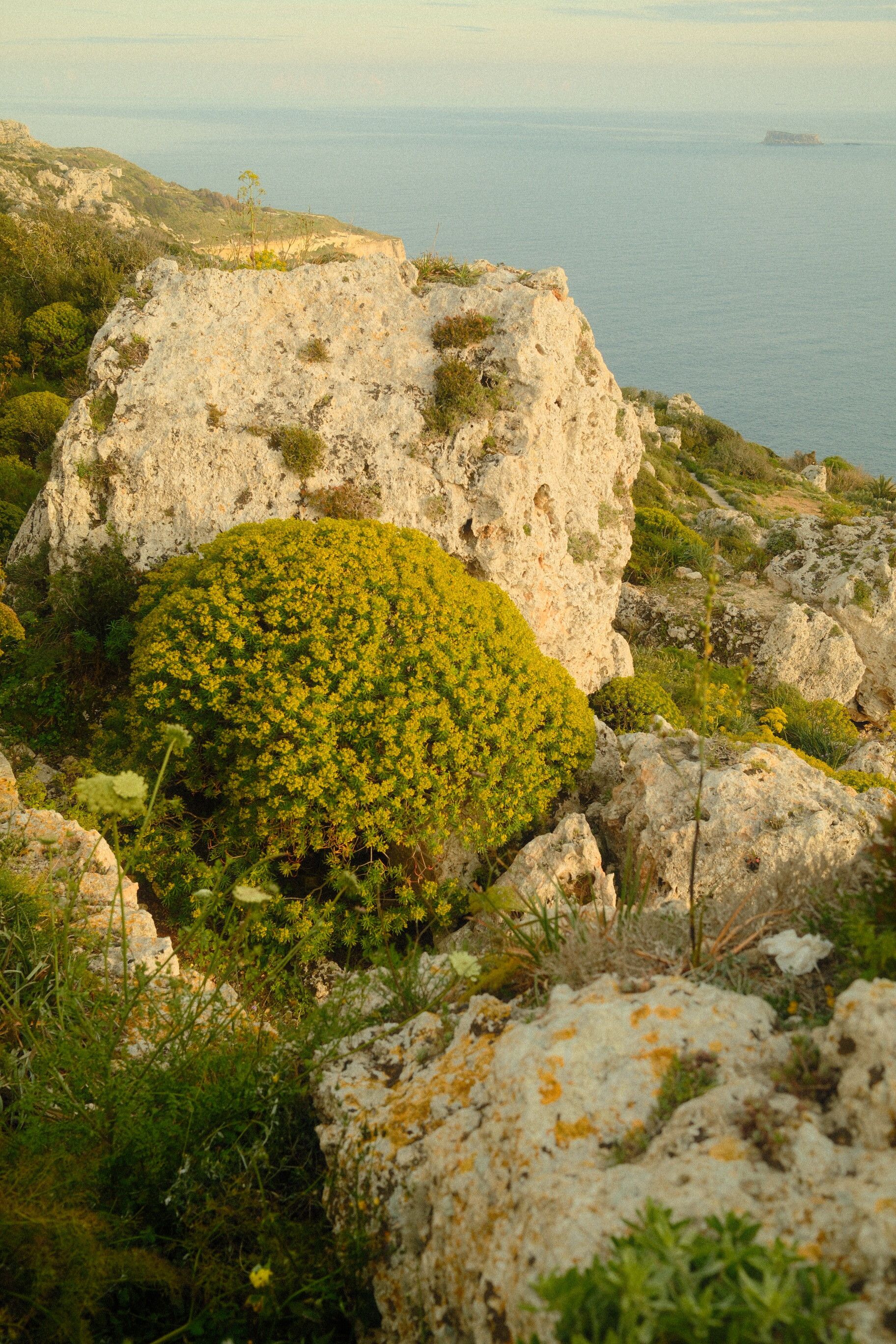 Breathtaking view of Malta's rocky coastline with lush greenery and the sea in the background.