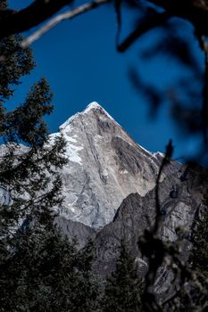 Elegant view of a snow-capped mountain peak framed by evergreen trees under a clear blue sky.