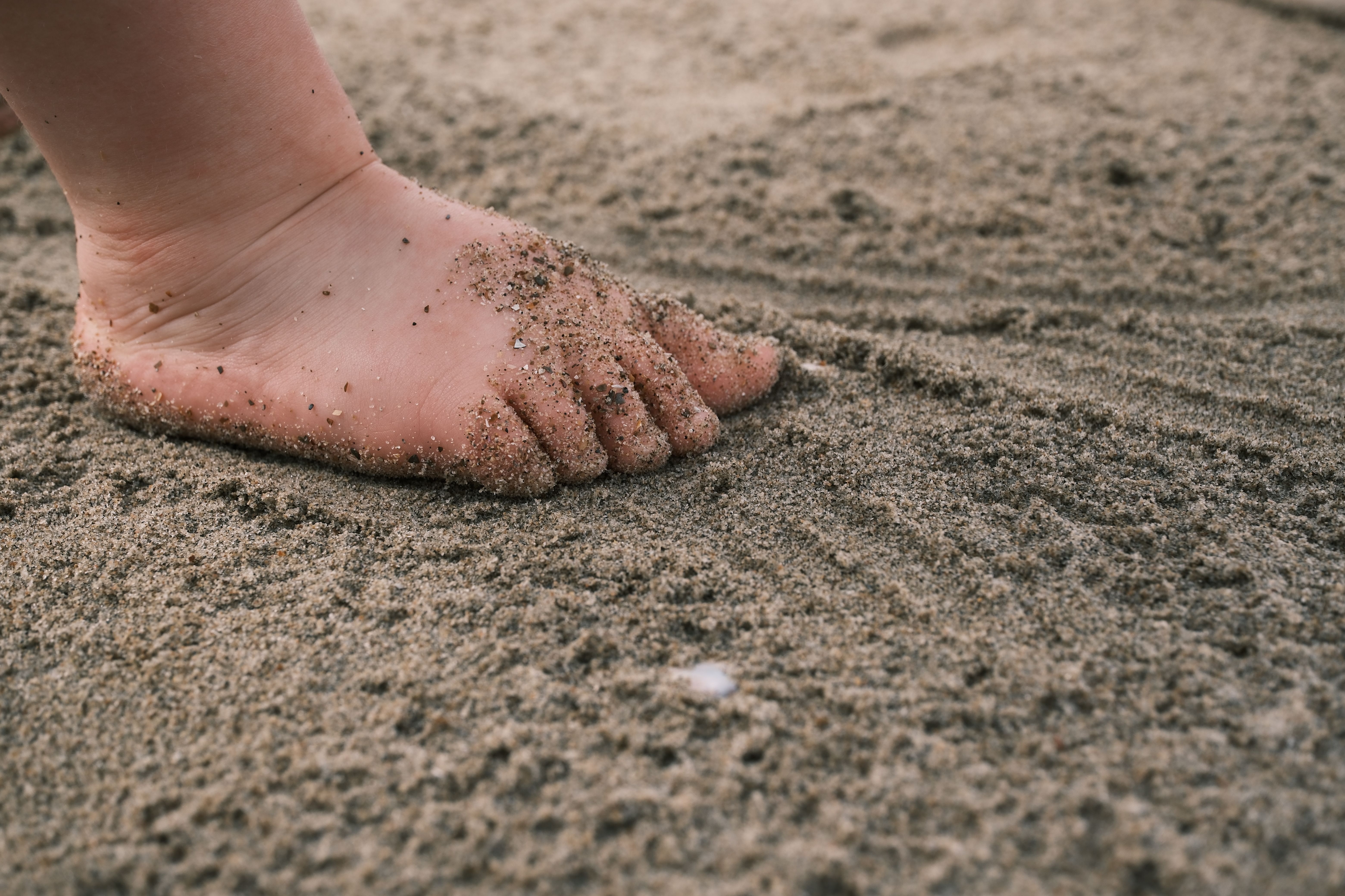 Free Things To Do in Nevis — Nevis travel guide photo