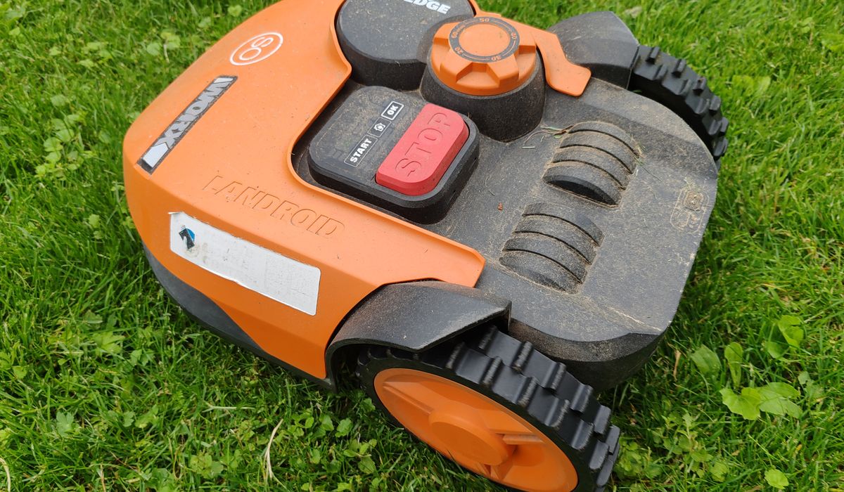 Robot tondeuse orange sur une pelouse fraîchement tondue