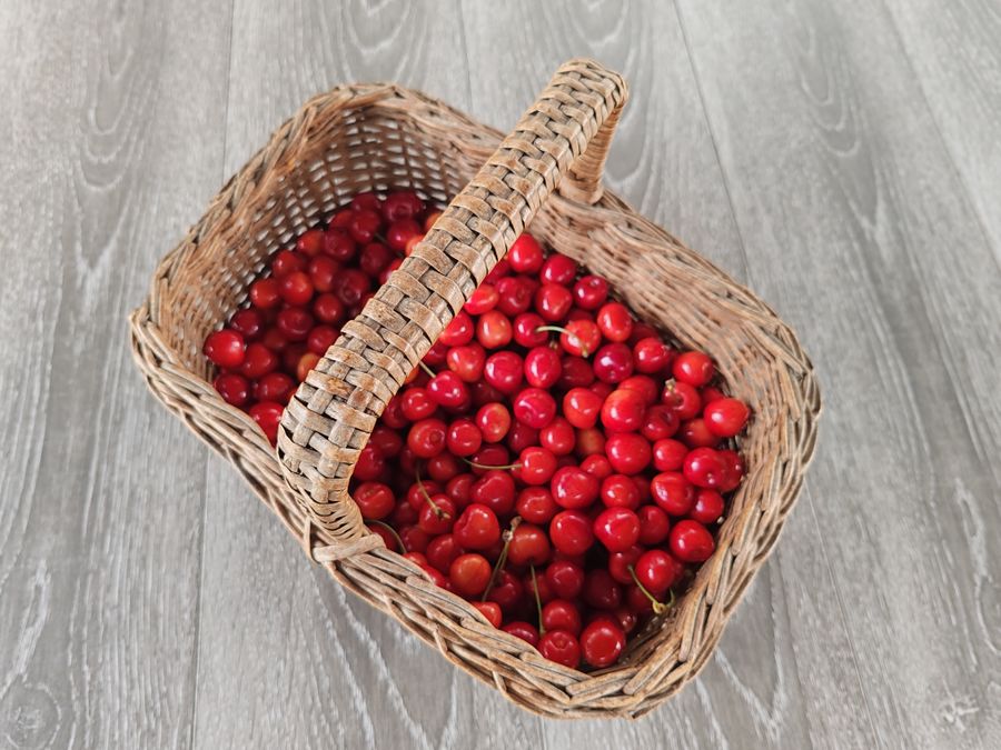 Wicker basket of red cherries