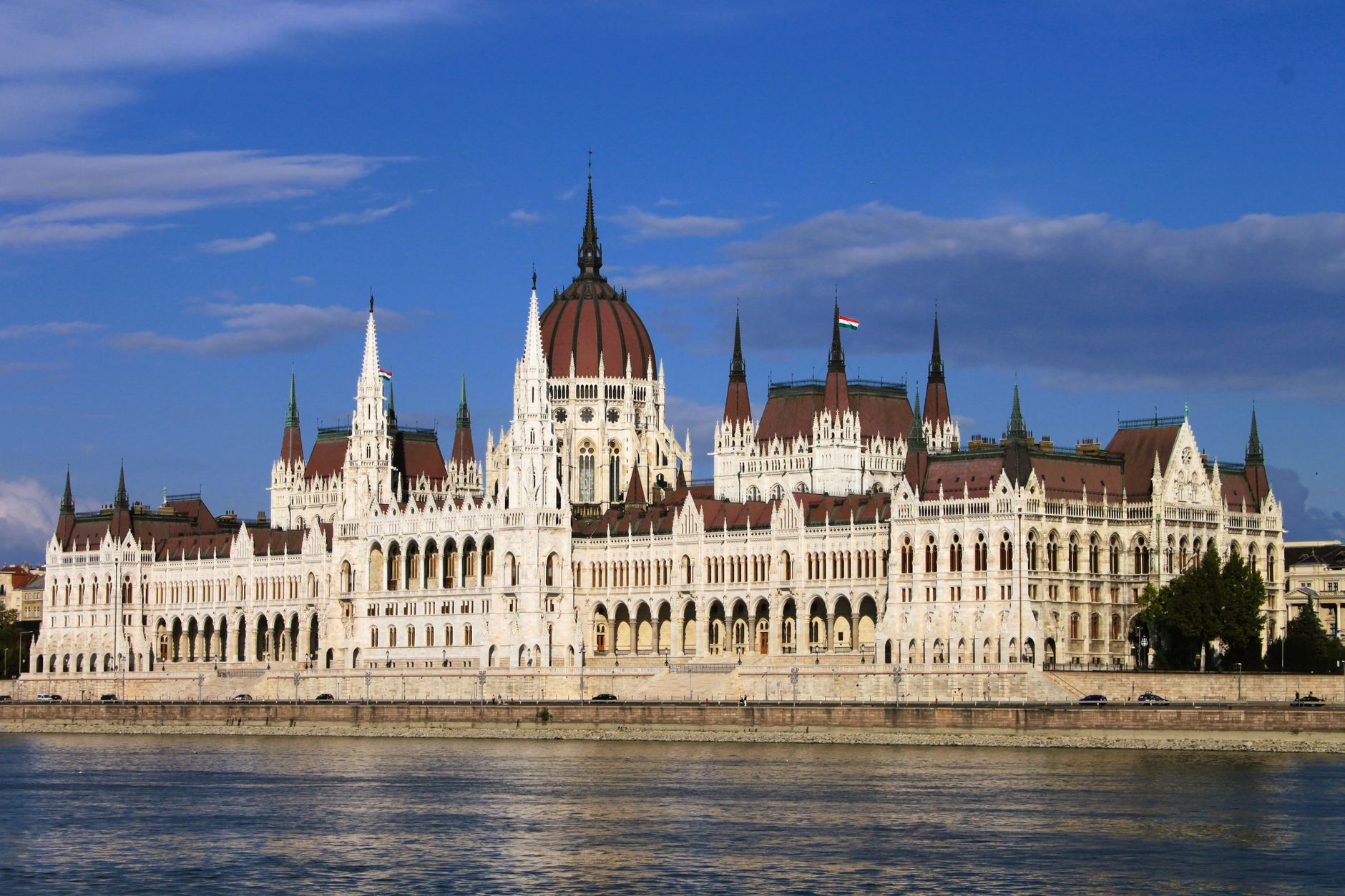 Adrian Veștea anunță candidatura la șefia PNL și cere amânarea congresului pentru după expirarea termenului pentru formarea guvernului