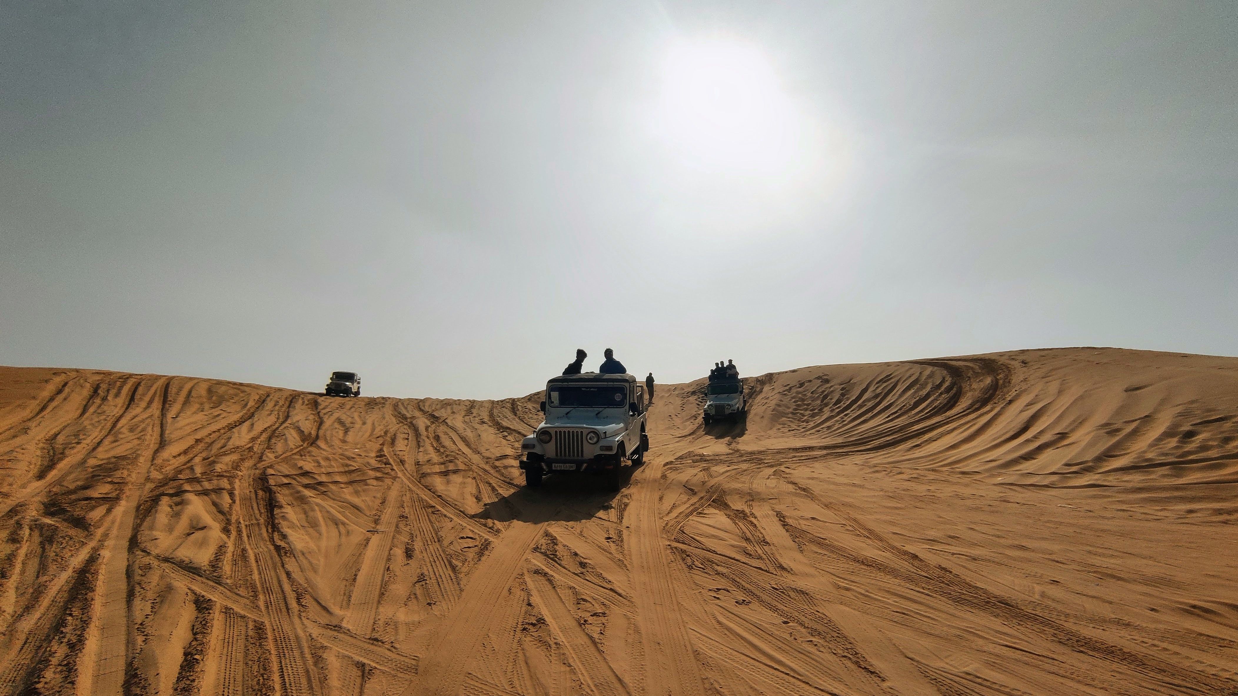 Thar Desert