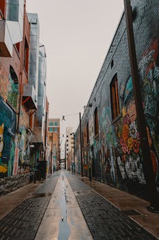 狭窄的城市小巷里，砖墙上装饰着充满活力的壁画，构成了一幅引人注目的街头艺术场景