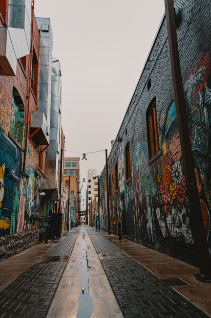 18. Nelson's Trafalgar Street: Hidden Alleyway Murals 18. Nelson's Trafalgar Street: Hidden Alleyway Murals