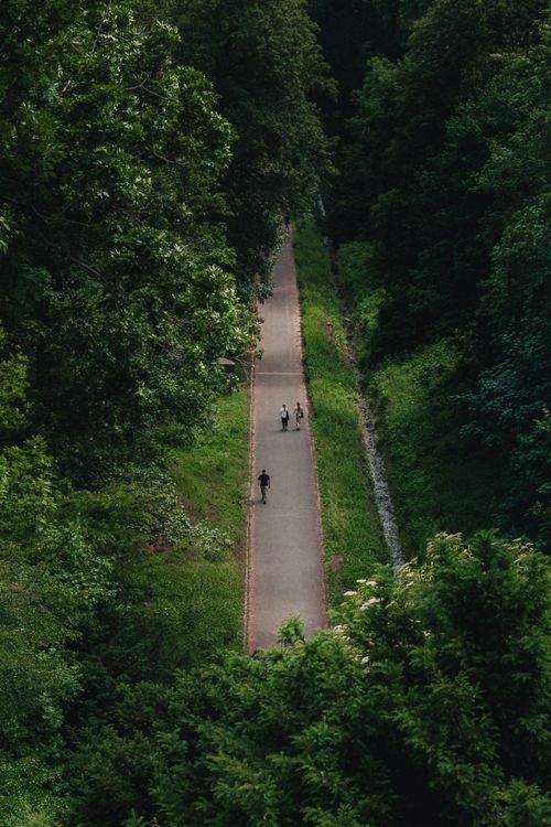 Free Aerial view of a lush green forest path with people walking, captured in Prague, Czechia. Stock Photo