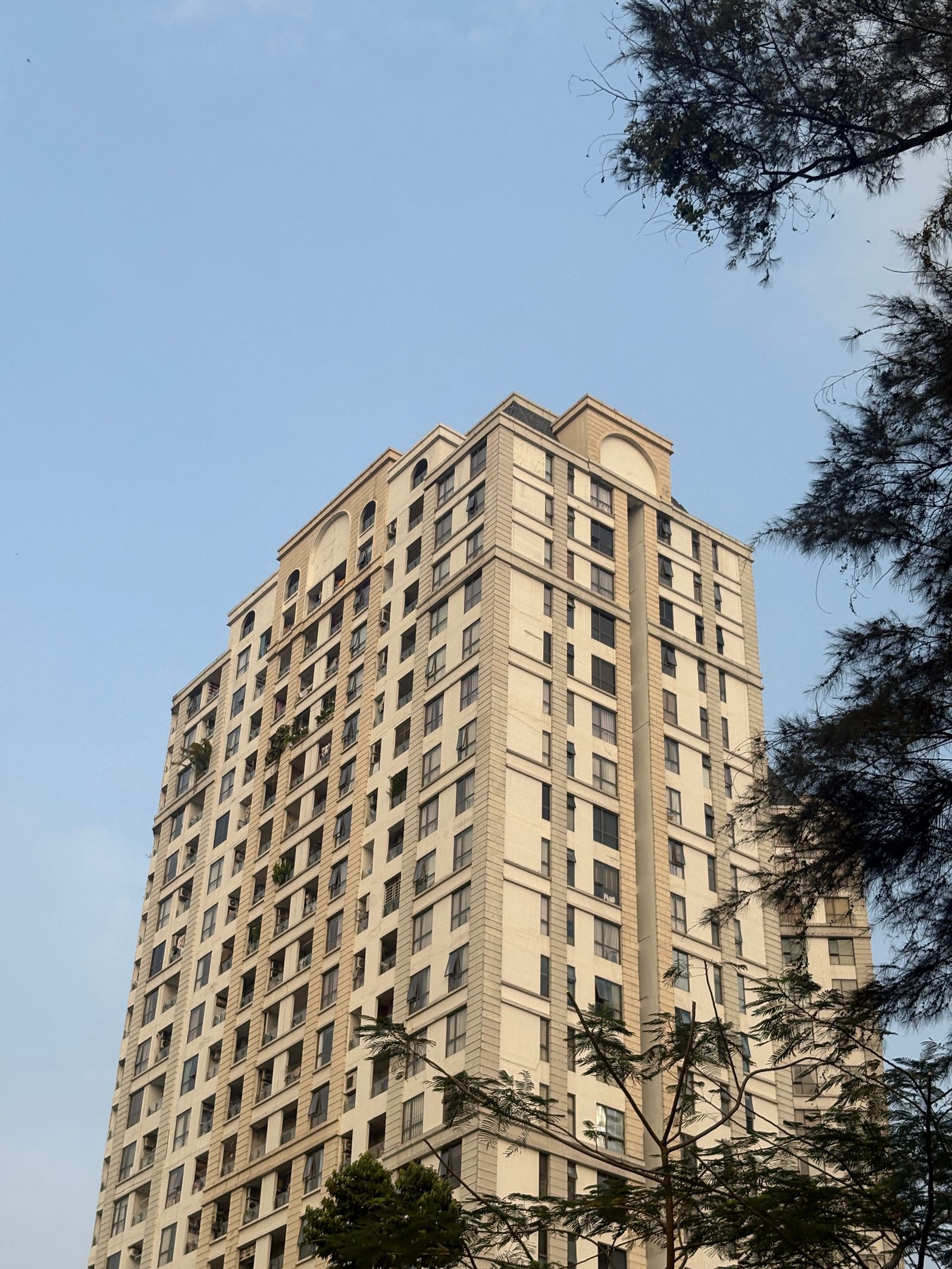 Tree Top Hi Rise Sculptured tree beside urban high-rise building · Free Stock Photo