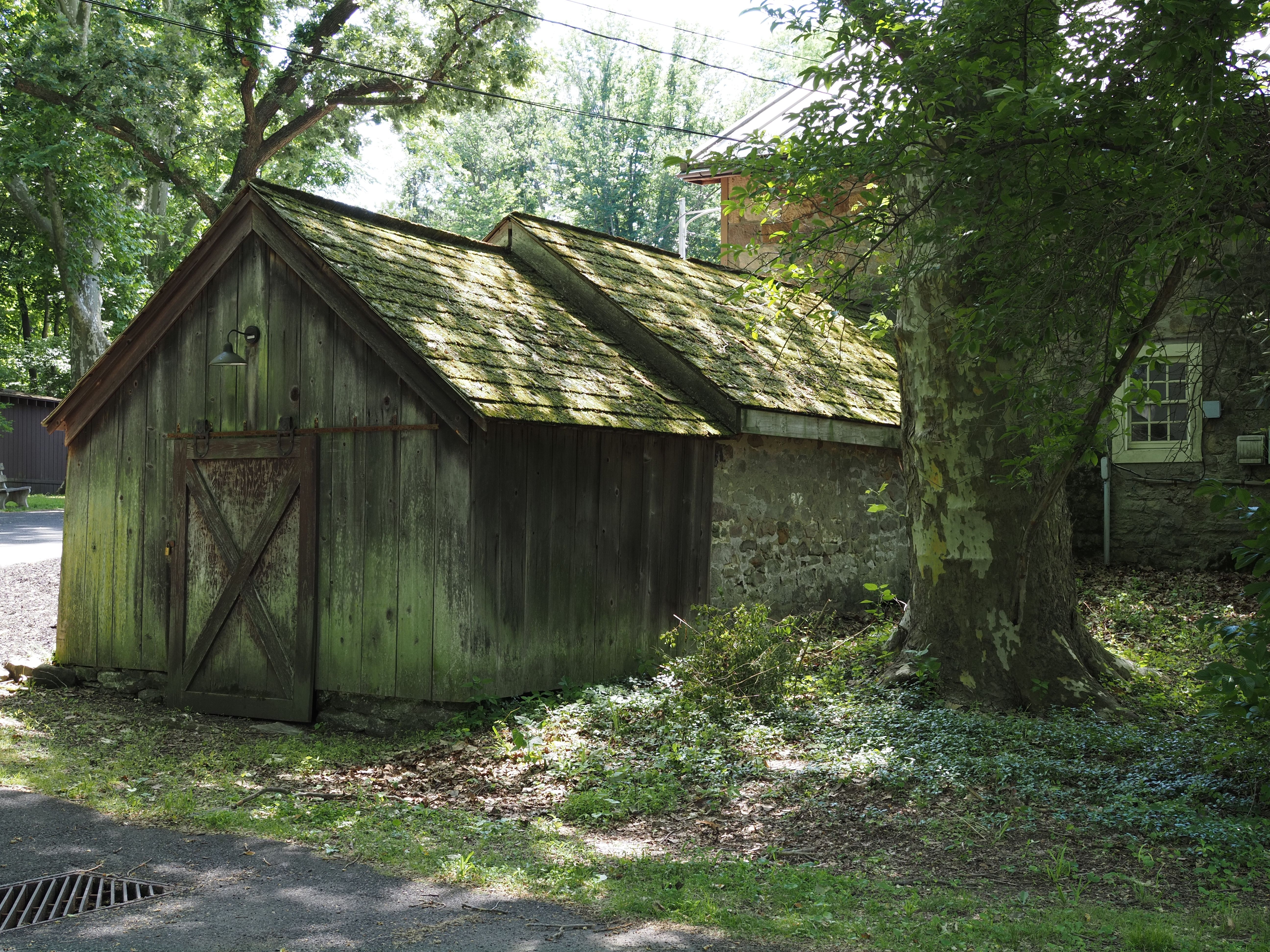 Rustic Shed in Pennsylvanian Woodland Setting · Free Stock Photo