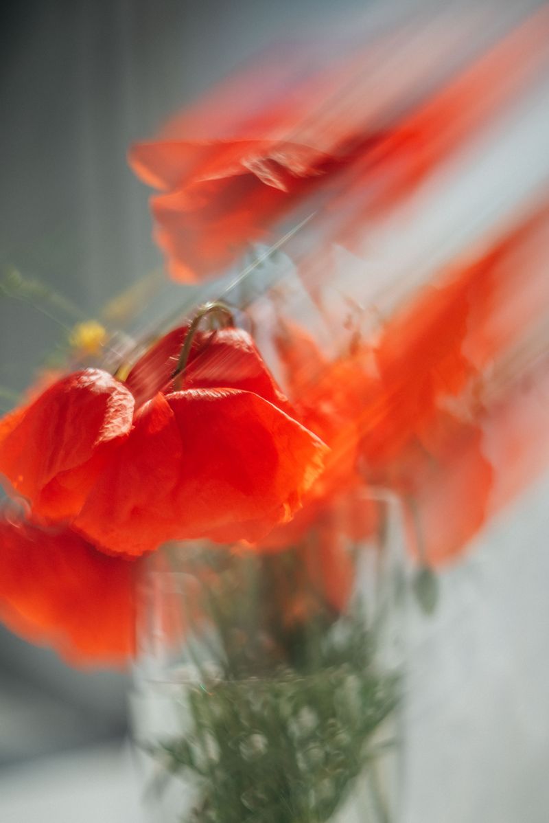 Red poppies in artistic motion blur -- photo by Olga Solo on Pexels