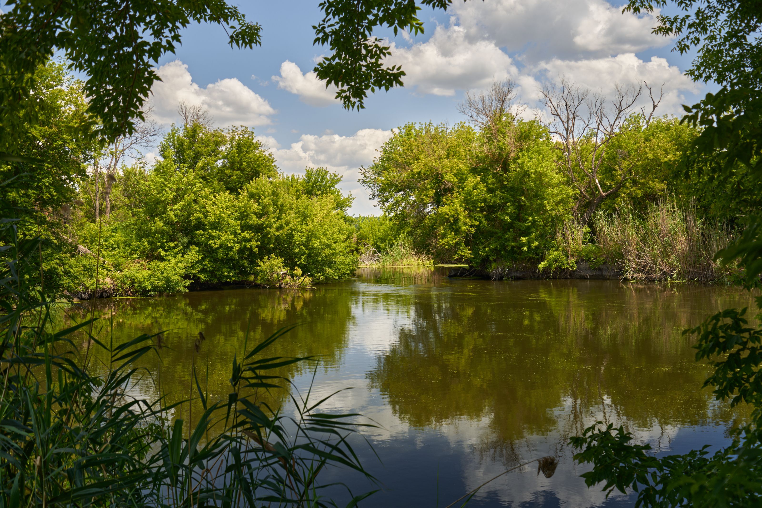 Belwin Conservancy begins search for new executive director — Photo by Matvei on Pexels