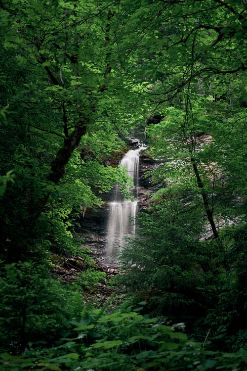 Free A serene waterfall cascading in a verdant forest, perfect for nature lovers. Stock Photo