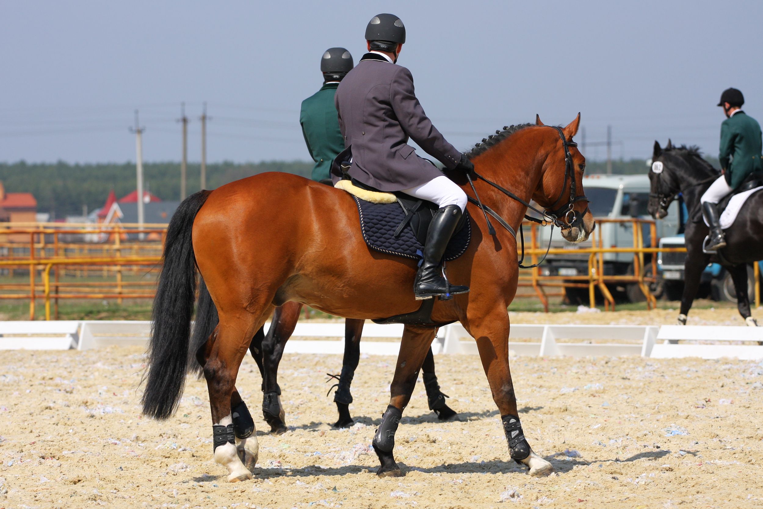 Horse riders in formal attire participate in outdoor equestrian competition.