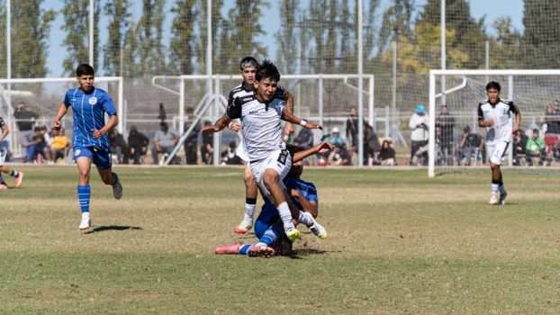 Capture of a youth soccer match with players in action on a bright day.