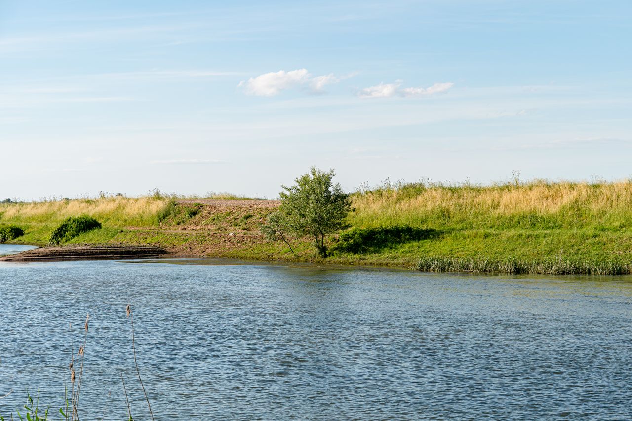 a tranquil riverside scene with lush greenery clear blue sky and gentl