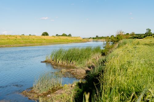 Free Scenic view of a serene river surrounded by verdant grasses under a clear blue sky. Stock Photo