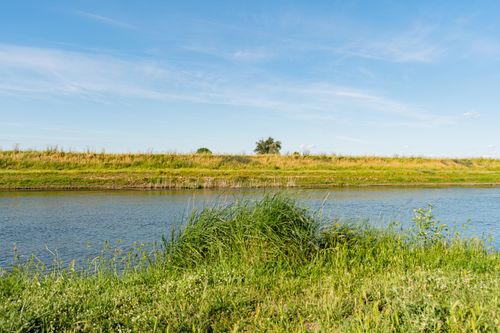 Free Peaceful riverbank with lush grass and blue sky on a clear summer day. Stock Photo