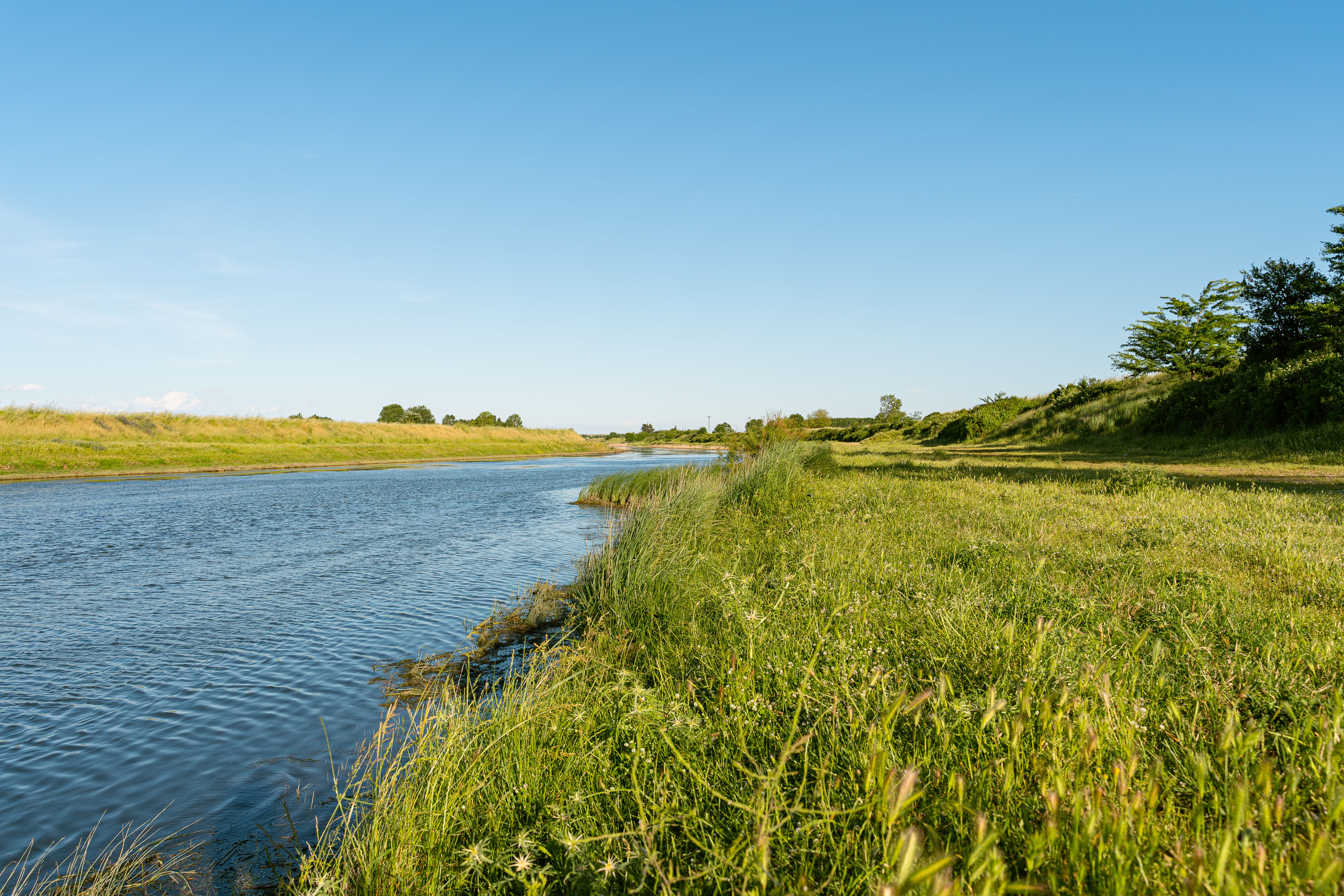 Salmon Fishing Tips: River Tactics and Line Setups