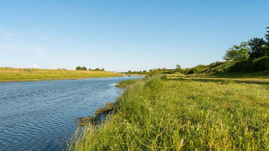 Salmon Fishing Tips: River Tactics and Line Setups