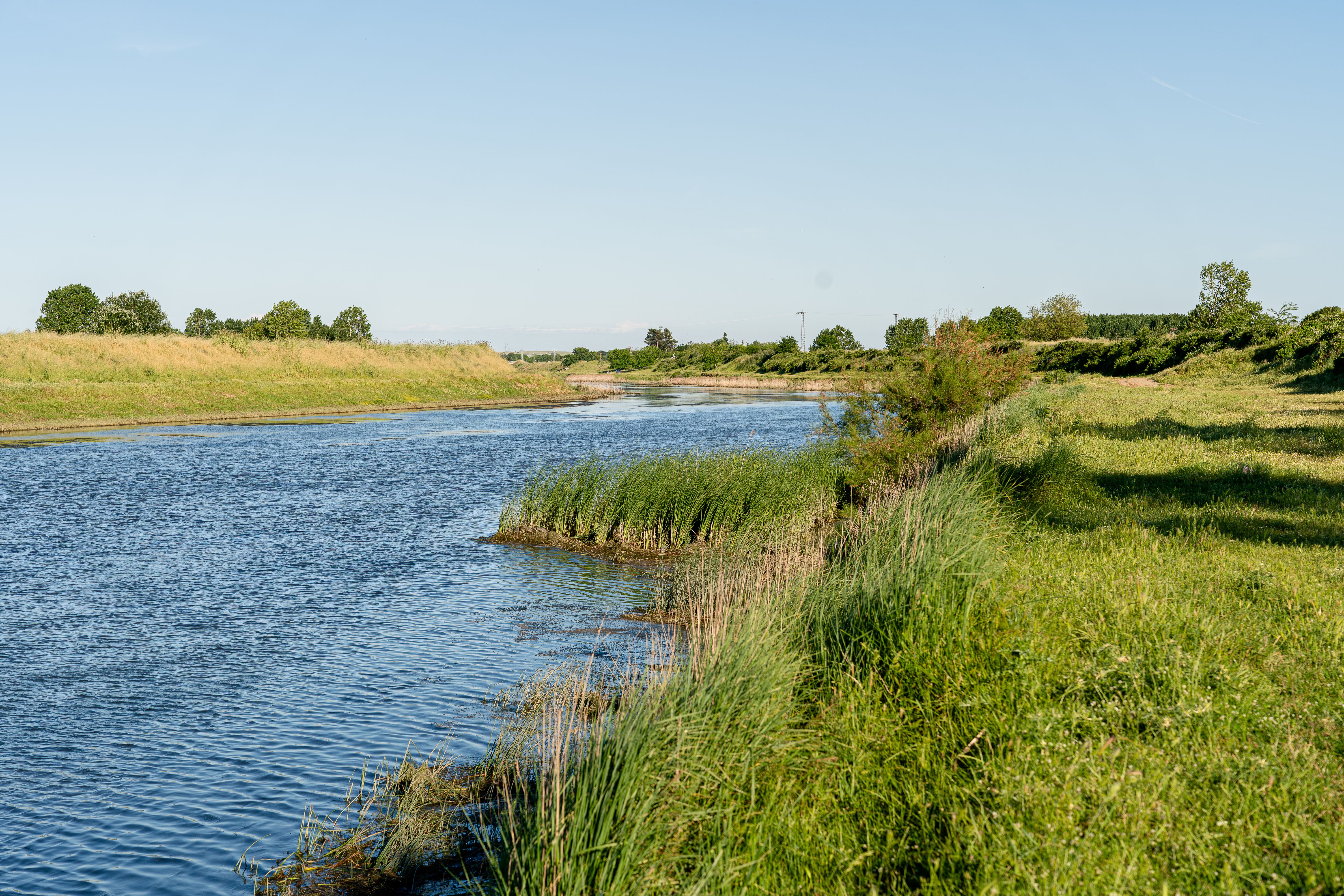 Klares Wasser in natürlicher Umgebung