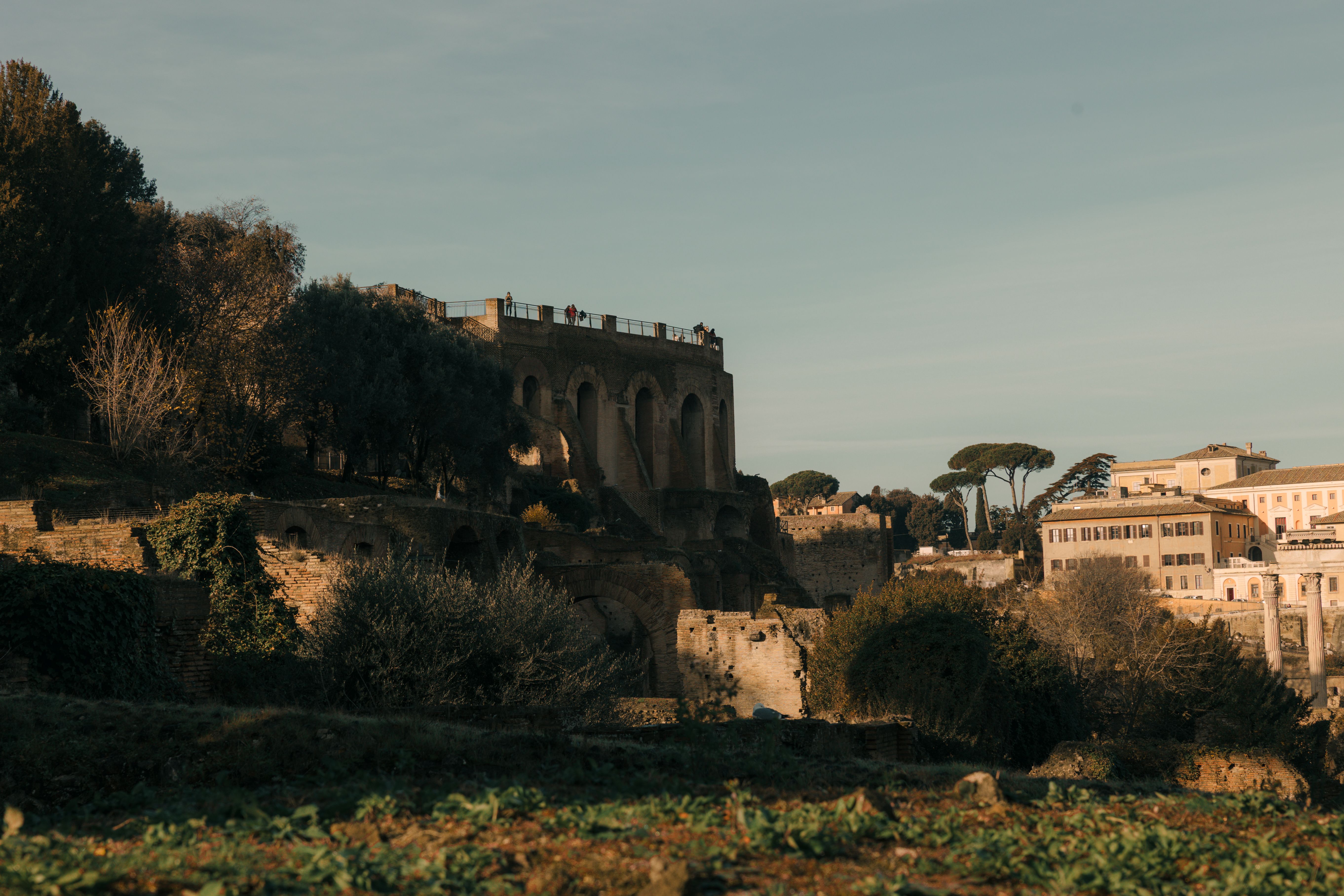 Belvedere di Frascati