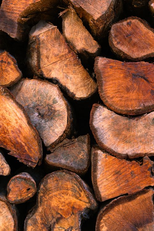 Free Close-up view of cut firewood logs showcasing natural textures and grain. Stock Photo