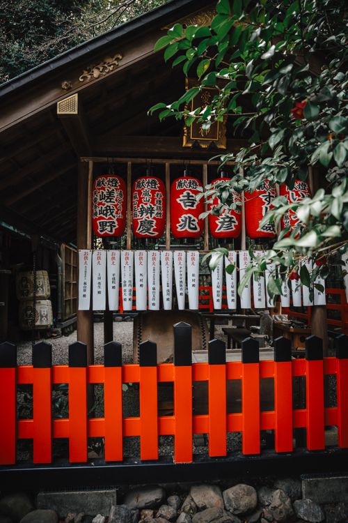 Free A serene Japanese shrine featuring red lanterns and an orange fence, set in a lush, green environment. Stock Photo