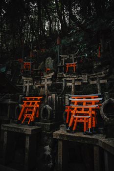 Dramatic view of miniature torii gates in Fushimi Inari, creating a mystical atmosphere.