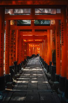 Captivating view of torii gates forming a tunnel at Fushimi Inari Shrine, Kyoto