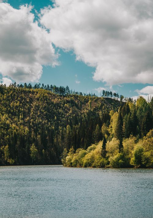 Free Idyllic scene of a tranquil lake surrounded by lush forest under a cloudy sky. Stock Photo