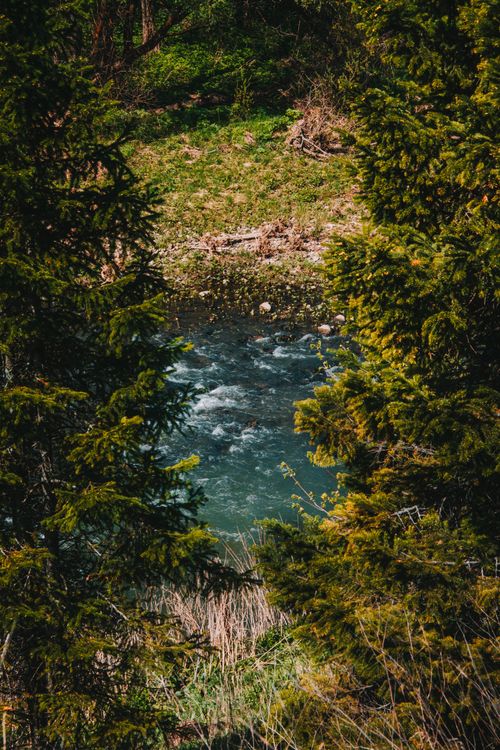 Free A tranquil river running through lush greenery in Сим, Челябинская обл., Russia, during spring. Stock Photo