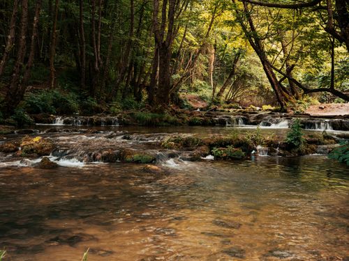 Free Tranquil forest stream flowing over rocks with gentle cascades under a lush canopy. Stock Photo