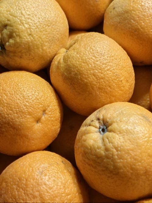 Free Vibrant oranges on display at a market in London, showcasing their fresh texture and bright color. Stock Photo
