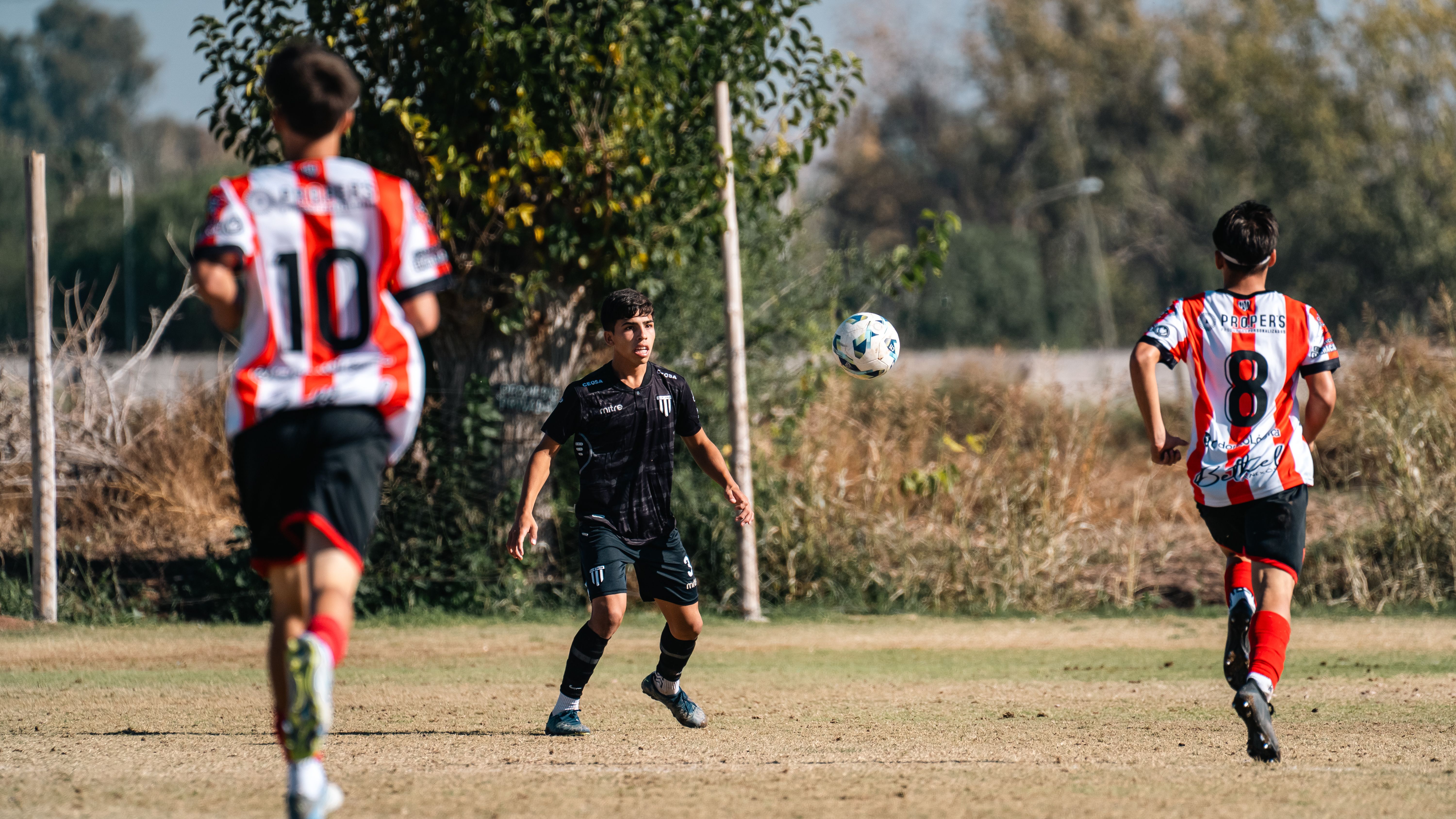 McAllen Citizens League Focuses on Growth and Civic Engagement Under New Leadership — Photo by Franco Monsalvo on Pexels
