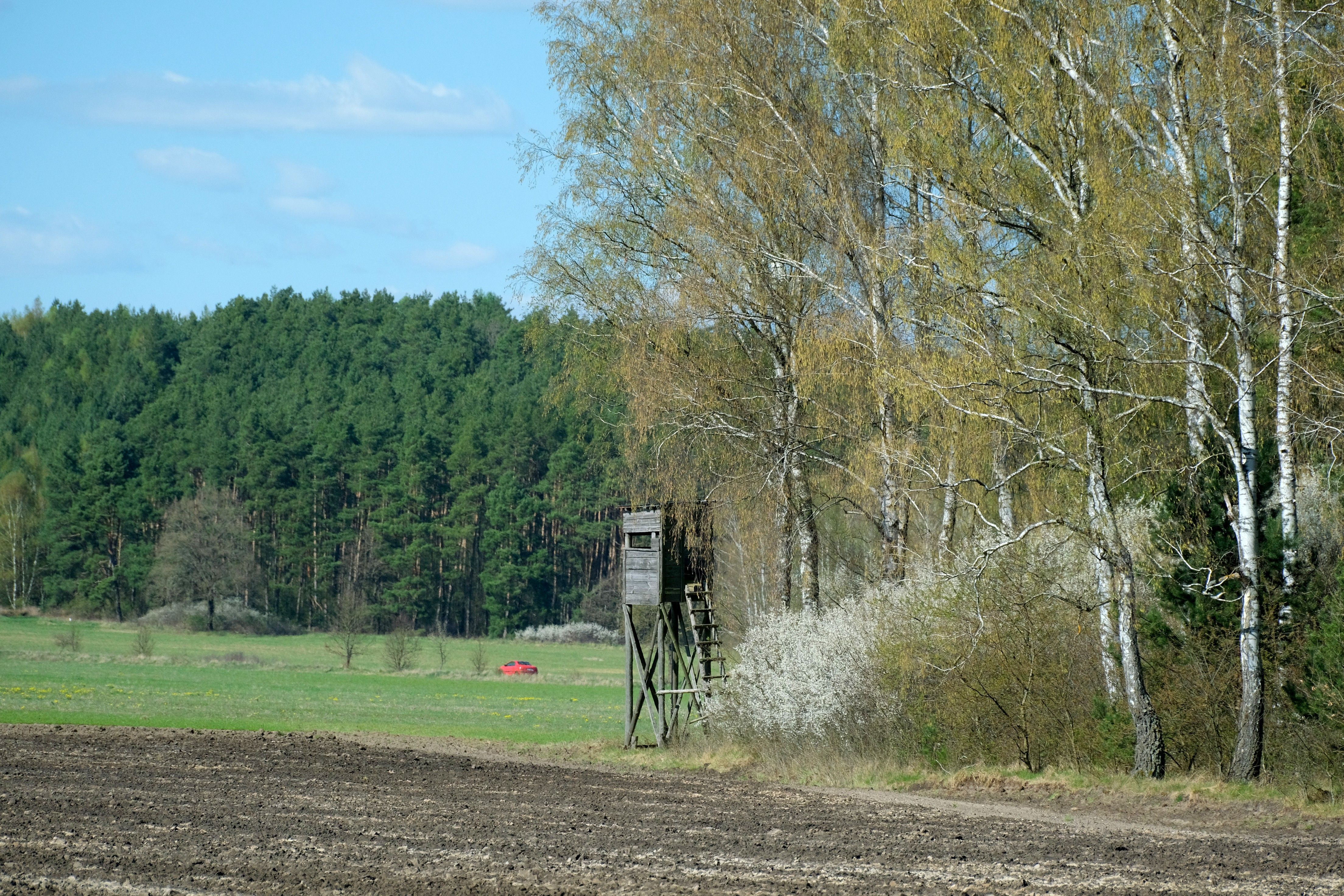 Blind tucked into a field corner
