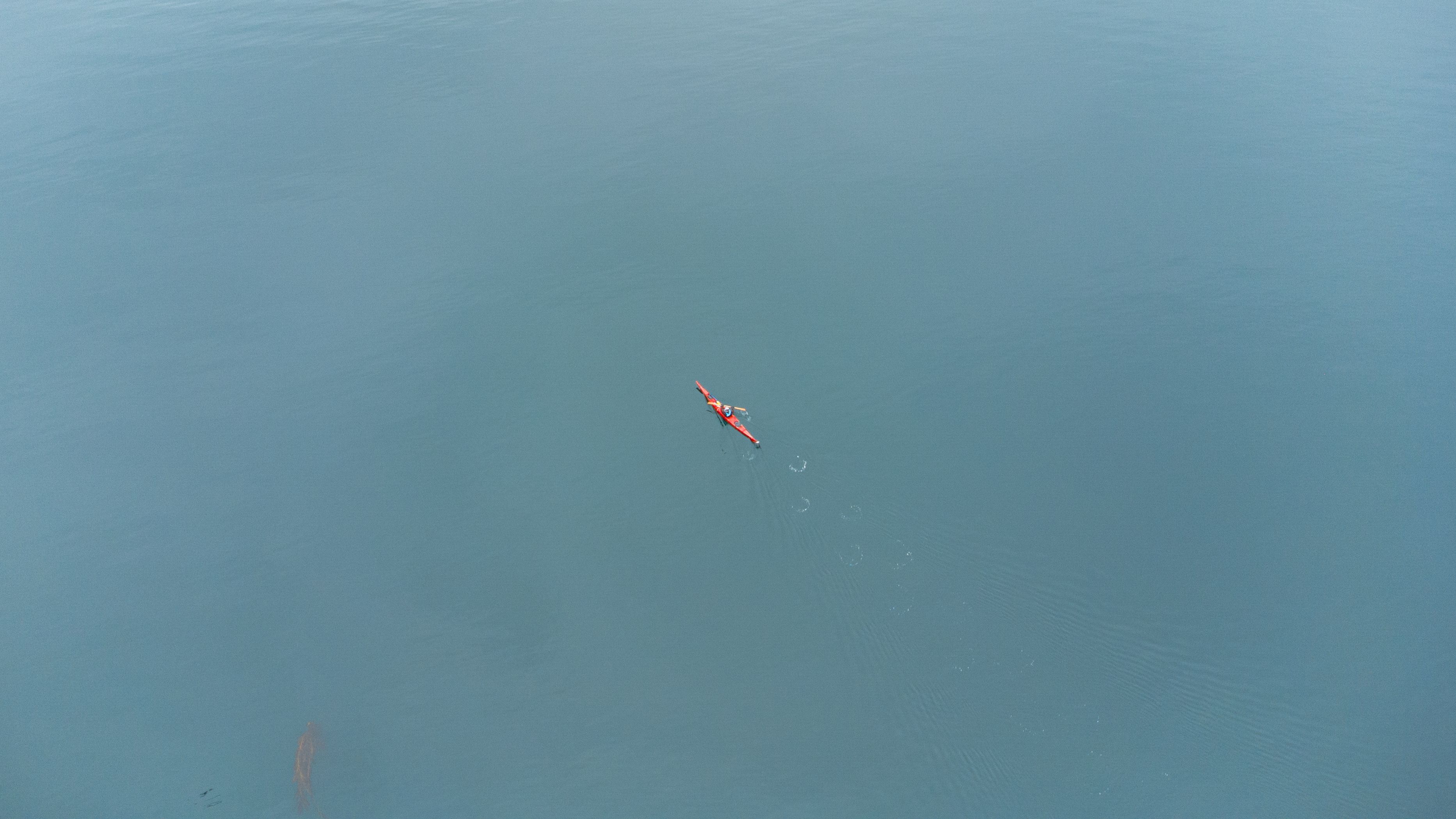 A lone kayaker paddles through the serene waters of Ushuaia, Argentina.