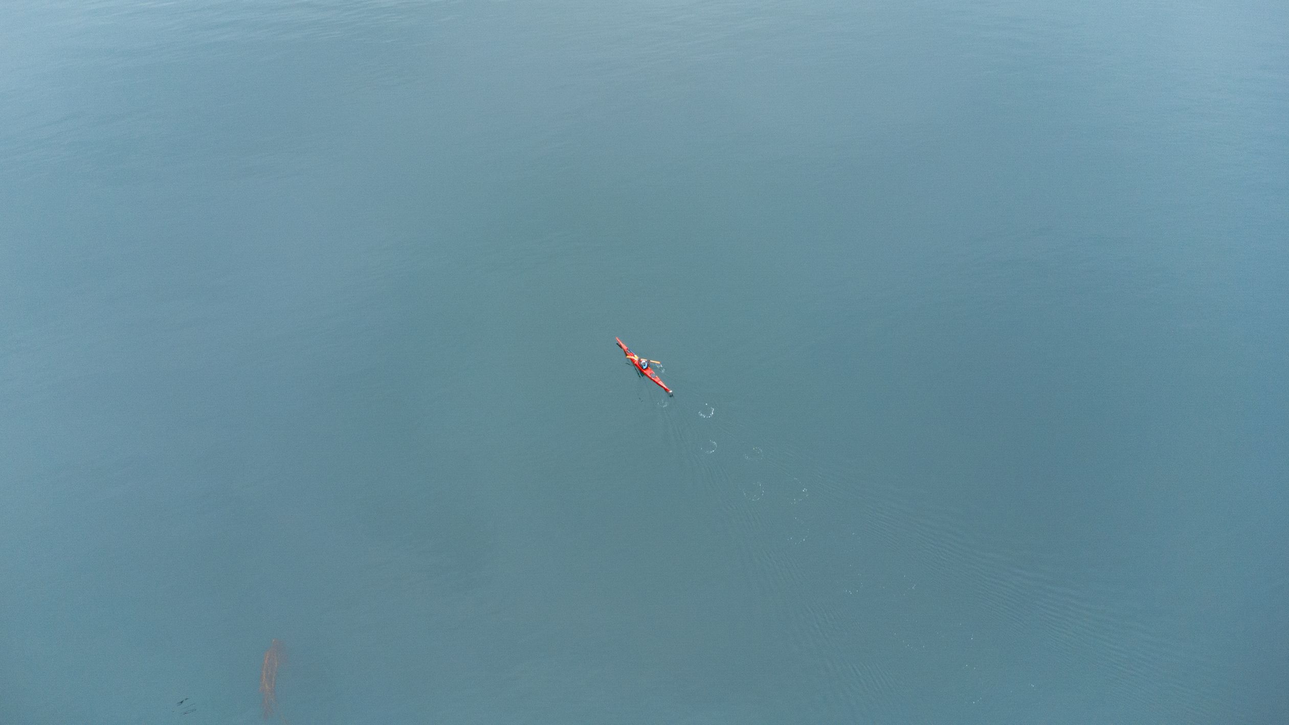A lone kayaker paddles through the serene waters of Ushuaia, Argentina.