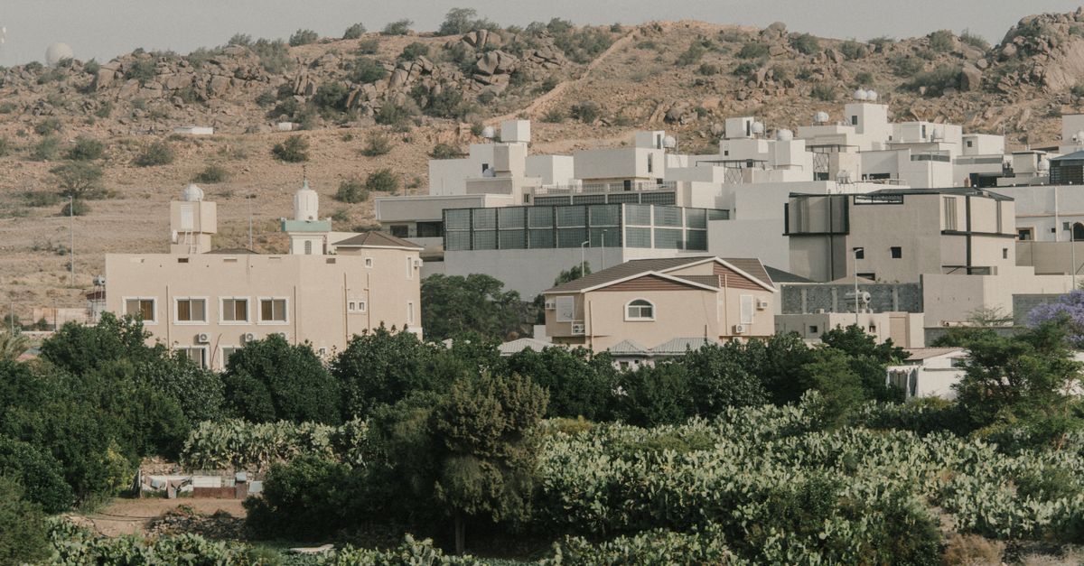 Saudi Arabia Sets One-Year Window for Cooperatives to Comply With New Law