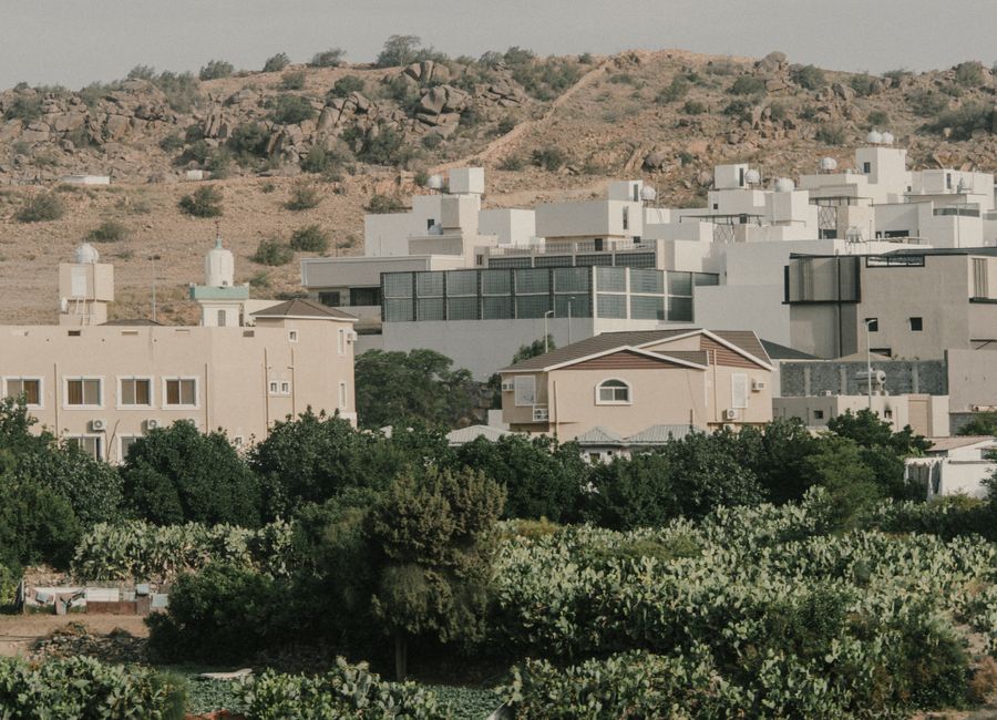 Aerial view of suburban homes amidst greenery in Taif, Saudi Arabia.