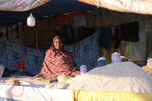 Free An elderly woman selling goods at an outdoor market stall in Kota, India. Stock Photo