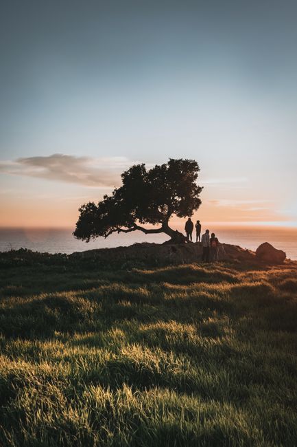 Dramatic sunset scene with silhouetted tree and people in Pismo Beach, California.