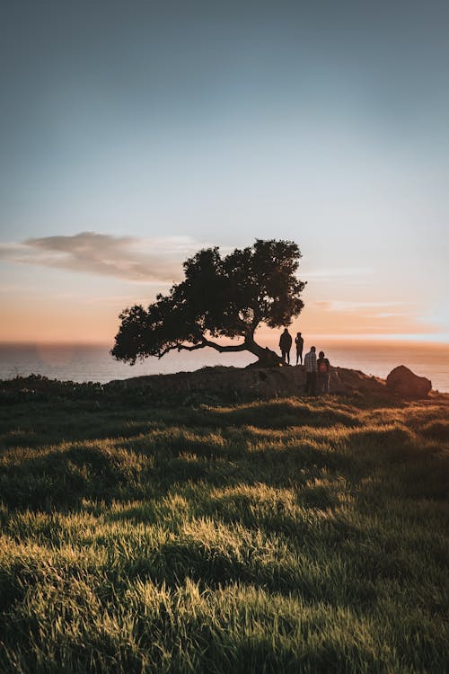 Foto Orang Berdiri Dekat Pohon Selama Golden Hour