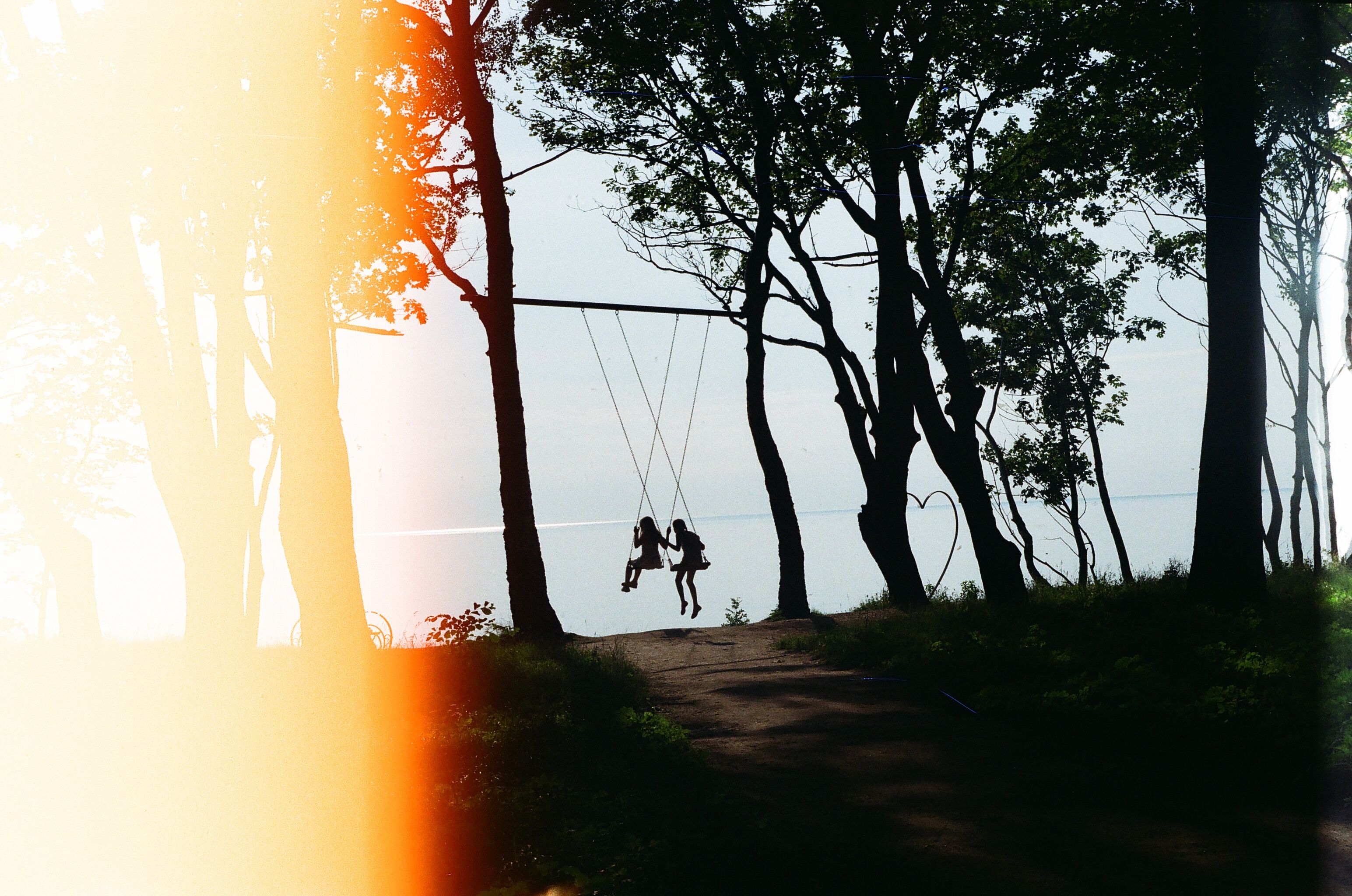 Children swinging among trees at sunrise, silhouetted against the light in Kaliningrad.