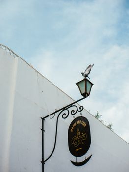 A pigeon perches on a lantern above Hotel Dar Said's sign against a blue sky.