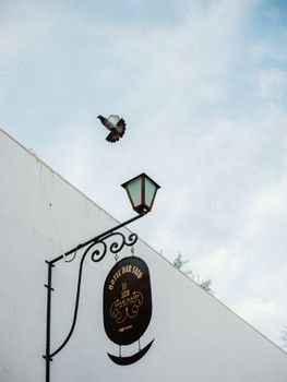 A bird flies near the Hotel Dar Said sign. Bright daylight scene with blue sky.