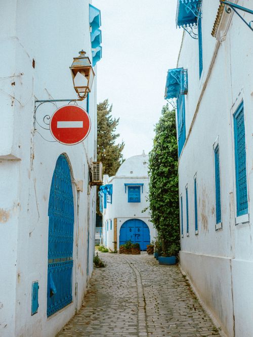 Free Picturesque alley in Tunisia with iconic blue and white buildings and cobblestone path. Stock Photo