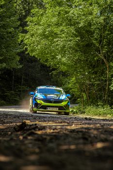 Blue rally car speeding on a forest road, showcasing motion and precision.